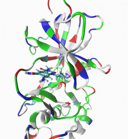 Molecular Dynamic Simulation-Driven Drug Discovery(图1) eEF2K动图.gif